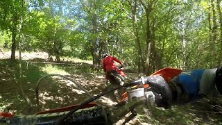 He almost hit that tree 🤣🤣 Action Trax Tunbridge Wells