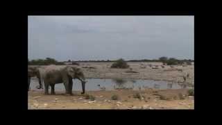 Okaukuejo Waterhole, Etosha