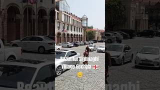 Beautiful Sighnaghi Village Georgia 🇬🇪#georgia #sighnagi #travel #beautiful #kakheti #viral