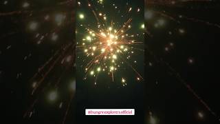 Diwali Celebration #minivlog #ytshorts #youtubeshorts #trending #diwali #shorts #rangoli #viralreels