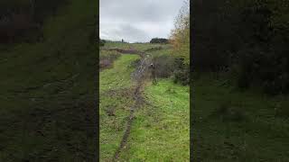 Yamaha yz 125 hill climb enduro