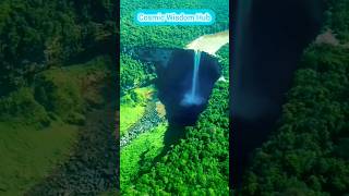 😨🤔दुनिया का सबसे खतरनाक जंगल - Amazon Rainforest #facts #viral #shorts #science.