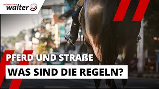 1 PS im Straßenverkehr - Pferde und Kutschen auf der Straße | #pferdestärken