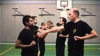 Wing Chun Kung Fu movements