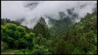 beautiful view after heavy rainfall in uttrakhand 🥰🥰 भारी बारिश के बाद का खूबसूरत नजारा