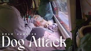 Full-Time Solo Female Vanlife in Travel Trailer | My Fur Baby was ATTACKED + Moving Day