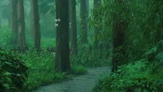 Listen to the rain on the forest path, relax, reduce anxiety, and sleep deeply SnUBb FAl