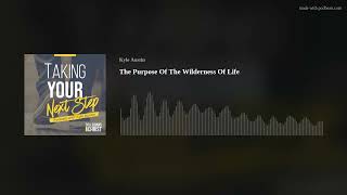 The Purpose Of The Wilderness Of Life