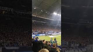 S04 🆚 SCF 2:2 / Blau und weiß ein Leben lang! 💙