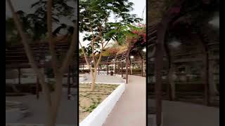 Dubai park #dubai #subscribe #trending #viral #travel #shorts #explore #share #youtubeshorts #view