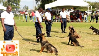 Olympus Kennel 2023 Dog Expo - Guyana Police Force Dogs