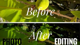 Before and After Photo Editing on Adobe Lightroom