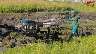 Mengisi Liburan Sekolah Joki Bocil Traktor Bantu Bekerja Membajak Lahan