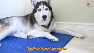 Pet Jarl Best Cooling Mat For Cats Dogs