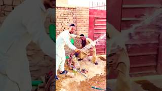 watch tell end funny 🤣🤣 #shorts #funny #pakistan #youtubeshorts #viral #diy