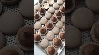 Макарон для взрослых🔥Macarons Adult Edition - Coffee and Irish Cream 🥃 #macaron