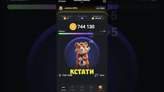 Hamster Kombat почему не стоит играть сейчас