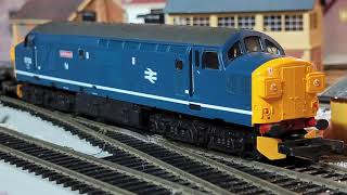 2022 Running Session:  British Rail Diesels - BR Blue