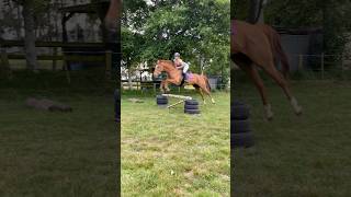 her first 70 EVER!! #horse #horsegirls #equestrian #horsegirl #showjump #ottb