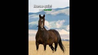 HORSE QUIZ! Very Easy 💗🫶🏻 GO VIRAL