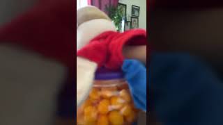 CHEESE BALLS #sml #funny #memes #growyourchannel #roblox #fnfgamer #scary #fnaf #funnycatmemes #fyp