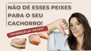 Não dê esses peixes para o seu cachorro! Contaminação por mercúrio