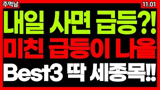 내일 사면 수익?! 이 '3가지 종목' 매수 기회 노려보세요. 급등주 주식추천 추천주 주가전망 11월 01일 급등 예상종목 주먹남