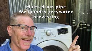 Water plants for free with your dirty laundry—multi-drain pipes for laundry greywater harvesting