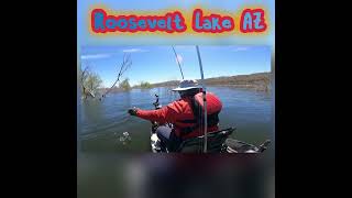 Roosevelt Lake AZ - come & play #shorts #fishing #bass #bassfishing #kayakfishing