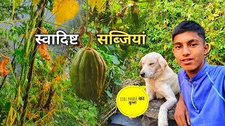 पहाड़ी स्वादिष्ट-सब्जियां 😍|| ‎Pahadi lifestyle vlogs|| Anuj Pahadi