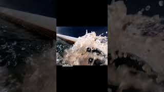 Ever Used a Power Tool Underwater?  Gross bottom cleaning made easy with the nemo tools hull cleaner