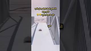 هي وجوزها موجود vs وجوزها مش موجود 😂