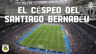 DESCUBRE EL CÉSPED DEL SANTIAGO BERNABÉU | EL MEJOR ESTADIO DEL MUNDO | REAL MADRID CF