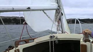 Sailing Tomales Bay with Diana and Flash 9-11-2011 in a Montgomery 15 Sailboat