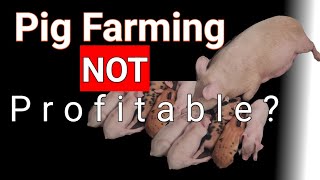 Don't Start Pig Farming in 2024 Without Watching This Analysis First! - Profitable or not!