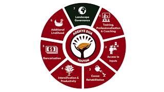 Touton's Climate Smart Cocoa