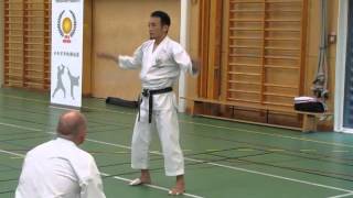 Yamaguchi-sensei demonstrates part of kata kakuyoko shodan