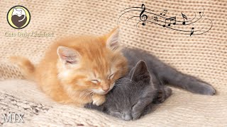 Cat Music - 10 Hours of Deep Relaxing Music for Cats (with cat purring sounds)