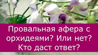 #орхидеи #орхидеиизбукета Провальная афера с орхидеями!? Или нет? Кто даст ответ?