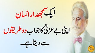 How To Respond An Insulting Person | Allama Iqbal Life Quotes And Relationship- Quotes Official Info