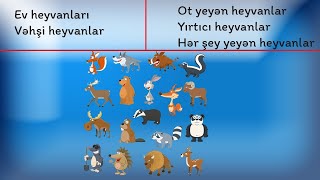 Heyvanlar aləmi 1-ci hissə (ev və vəhşi heyanlar;  ot yeyən,ət yeyən və hər şey yeyən heyvanlar)