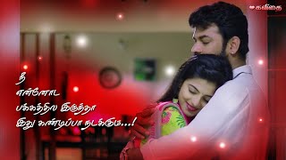 🌹😚 இவளுக்கு ஆசை கொஞ்சம் அதிகம்தான் 😍🌹 Whatsapp Status 😘🌹