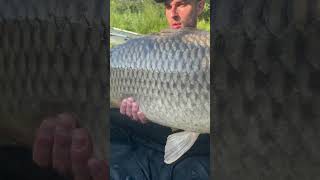 Подарував неймовірний бій#shorts#карпфішинг #carpfishing