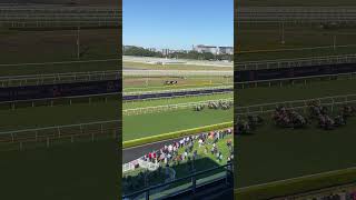 Horse racing Sydney