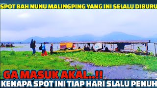 BINGUNG..!! KALAU UDAH KESPOT MALINGPING YG DIREBUTIN PASTI YG INI😱 || mancing cirata terbaru 2024