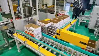 Discover the Automatic Side Push Case Packer for Boxed Ointments! |side load case packing machine