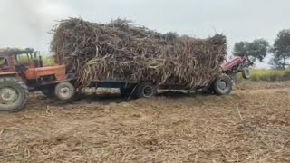 Massey Tractor Sugar Load trolley tractor power stunt point performance