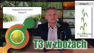 Zabieg T3 w zbożach | Ochrona fungicydowa kłosa🌾