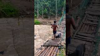 kerala #tribal #fishing#shortsvideo #villagelife #shorts