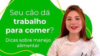 DICAS SOBRE MANEJO ALIMENTAR